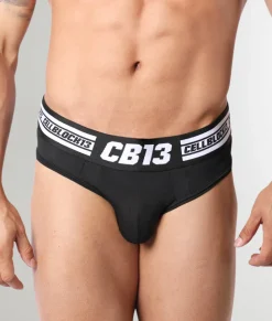 Briefs<CELLBLOCK13 Baseline Brief