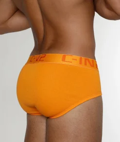 Briefs<C-IN2 Core Brief