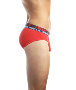 Briefs<C-IN2 C-Theory Brief