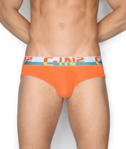 Briefs<C-IN2 C-Theory Brief