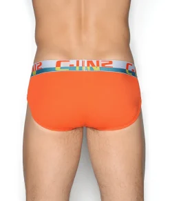 Briefs<C-IN2 C-Theory Brief