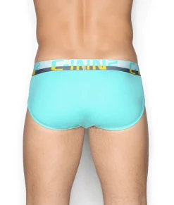 Briefs<C-IN2 C-Theory Brief