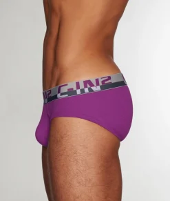 Briefs<C-IN2 C-Theory Brief
