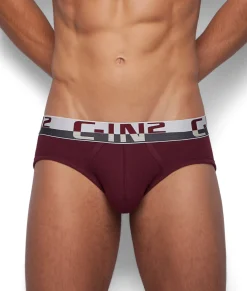 Briefs<C-IN2 C-Theory Brief