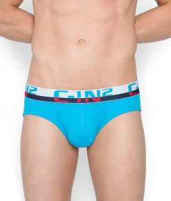 Briefs<C-IN2 C-Theory Brief