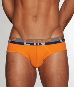 Briefs<C-IN2 C-Theory Brief
