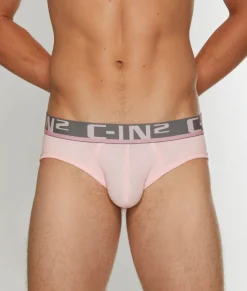 Briefs<C-IN2 C-Theory Brief