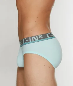 Briefs<C-IN2 C-Theory Brief