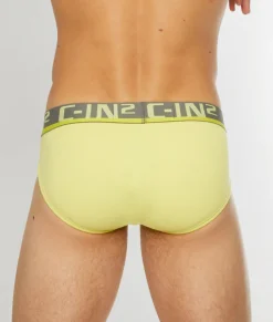 Briefs<C-IN2 C-Theory Brief