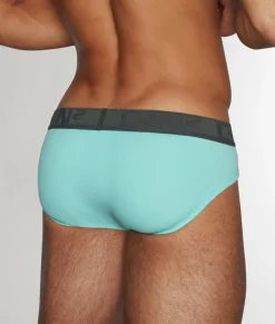 Briefs<C-IN2 C-Theory Brief