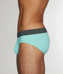 Briefs<C-IN2 C-Theory Brief