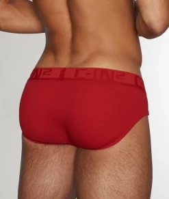 Briefs<C-IN2 C-Theory Brief