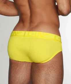 Briefs<C-IN2 C-Theory Brief