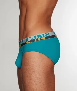 Briefs<C-IN2 C-Theory Brief
