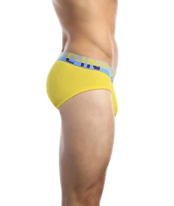 Briefs<C-IN2 C-Theory Brief