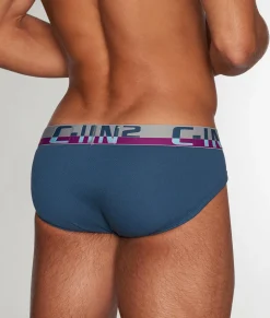Briefs<C-IN2 C-Theory Brief