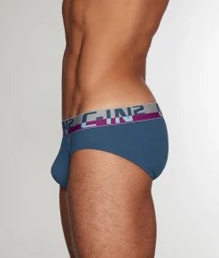 Briefs<C-IN2 C-Theory Brief