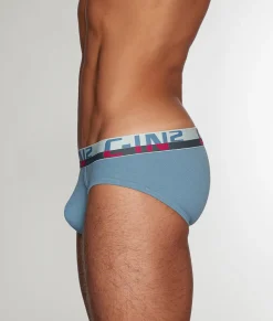 Briefs<C-IN2 C-Theory Brief