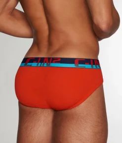 Briefs<C-IN2 C-Theory Brief