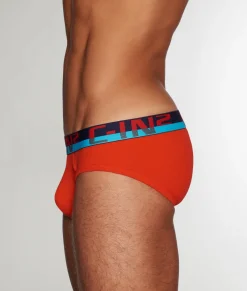 Briefs<C-IN2 C-Theory Brief