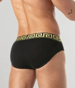 Briefs<Leader Invictus Brief