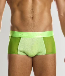 Trunks<Modus Vivendi Delusion Trunk