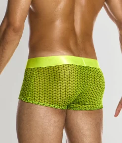 Trunks<Modus Vivendi Illusion Trunk