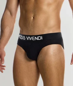 Briefs<Modus Vivendi Silk Classic Brief