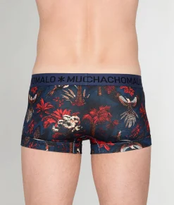 Trunks<Muchachomalo Trunk Palm Birds