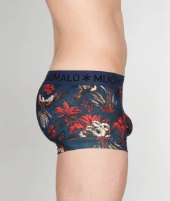 Trunks<Muchachomalo Trunk Palm Birds