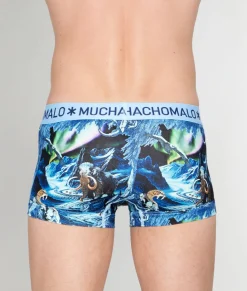 Trunks<Muchachomalo Trunk Pre History