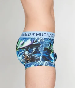 Trunks<Muchachomalo Trunk Pre History