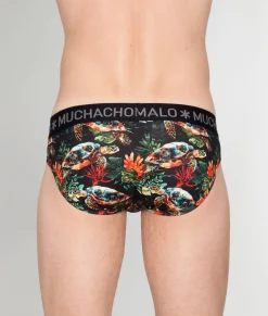 Briefs<Muchachomalo Brief Turtle
