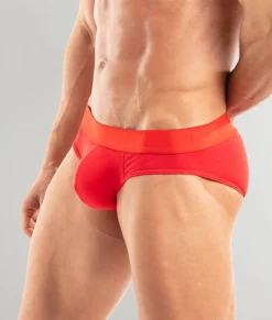Briefs<TOF Paris Access Brief