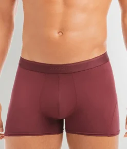 Trunks<2(X)IST Electric Trunk