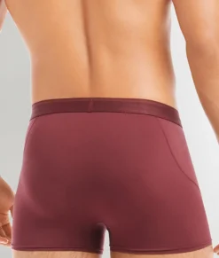 Trunks<2(X)IST Electric Trunk