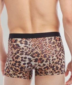 Trunks<2(X)IST SLIQ Trunk