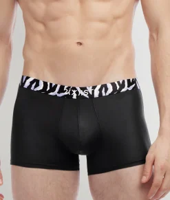 Trunks<2(X)IST SLIQ Trunk